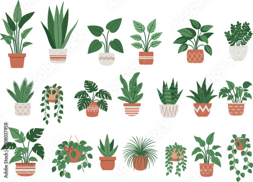 Vector set of various indoor potted plants and leafy houseplants.