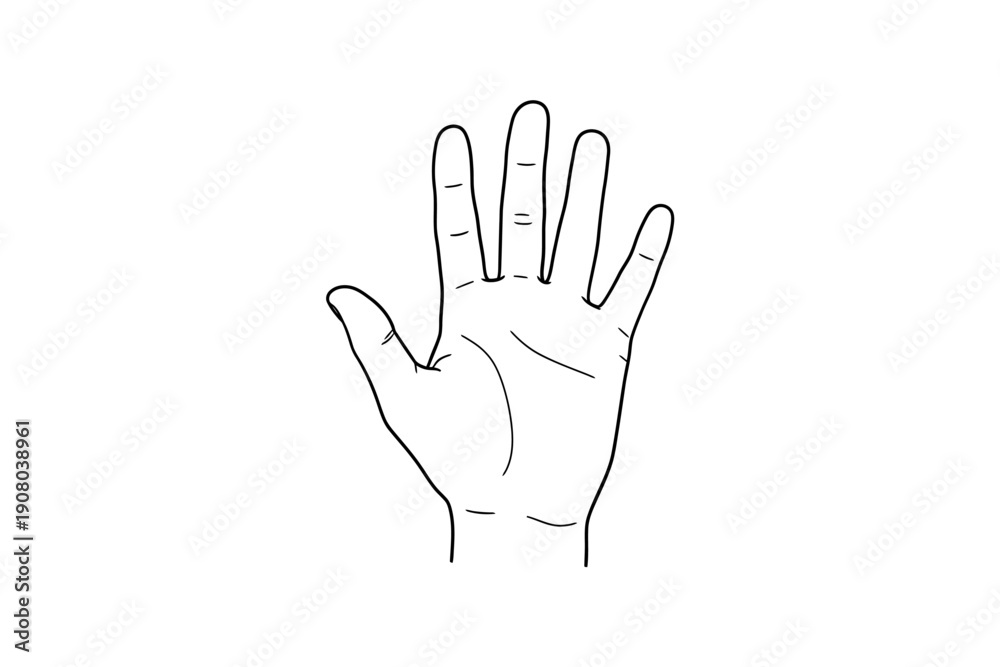 Obraz premium A simple line drawing of a human hand with fingers extended