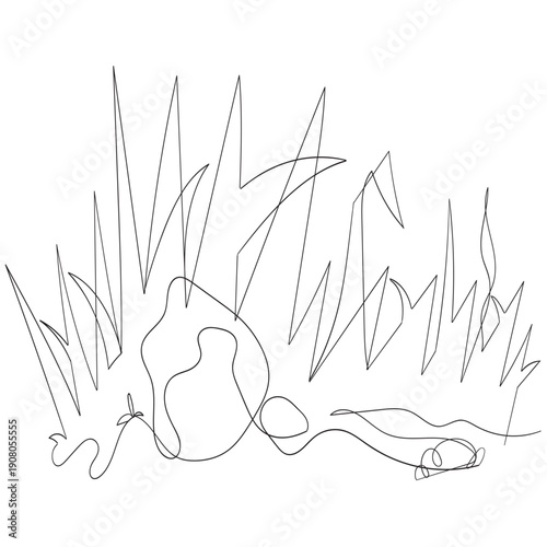 continuous line grass illustration collection hand drawn style