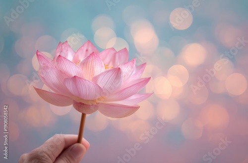 Elegant Pink Lotus Against Soft Bokeh Background Capturing Tranquility and Grace