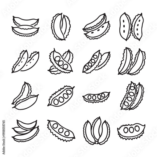 Collection of various bean pods and seeds, hand-drawn sketch style