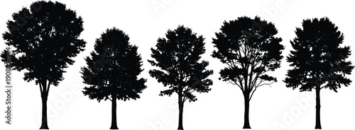 Silhouette illustration of five different deciduous trees with unique branching patterns, diverse foliage density, natural forest design concept for botany forestry study, flat vector illustration