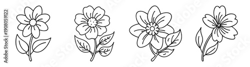 Set of four elegant white spring flowers vector icons isolated on transparent background minimalist design