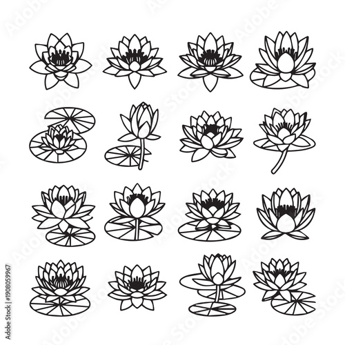 Collection of Water Lily Illustrations, Line Art, Isolated on White Background