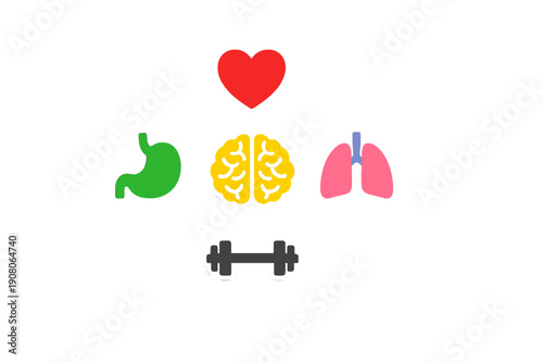 This image features five stylized icons representing human organs and fitness: a red heart, yellow brain, green stomach, pink lungs, and a grey dumbbell on a black background.
