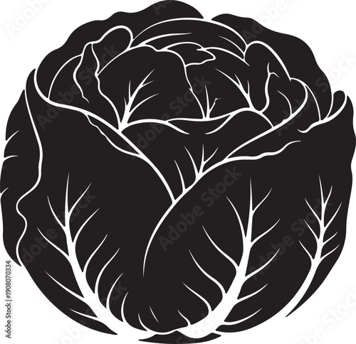 Black and white illustration of a cabbage isolated on transparent background