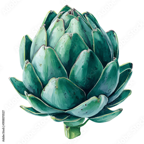 Watercolor Artichoke Agave vector, artistic painting style, high-resolution illustration on a pure white background.