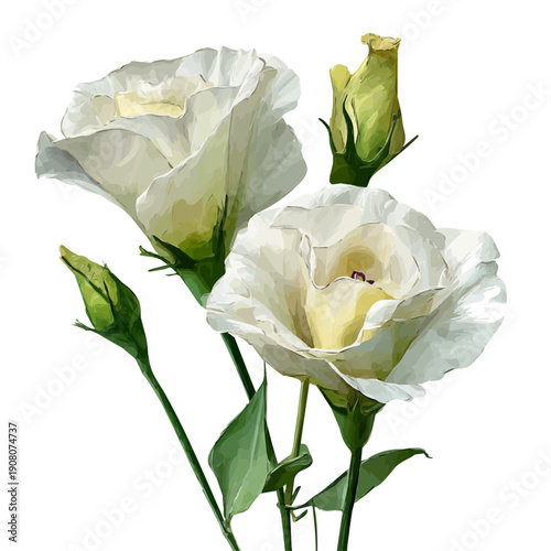 Stylized watercolor Lisianthus vector, modern artistic illustration with high-quality details on a pure white background.