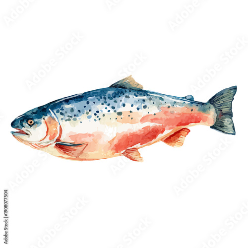 Baked Salmon watercolor vector illustration, high-quality artwork isolated on a pure white background.