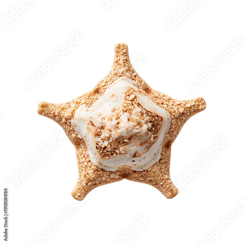 Beautiful Conch Shell Displayed on a White Background for Decoration or Colle...