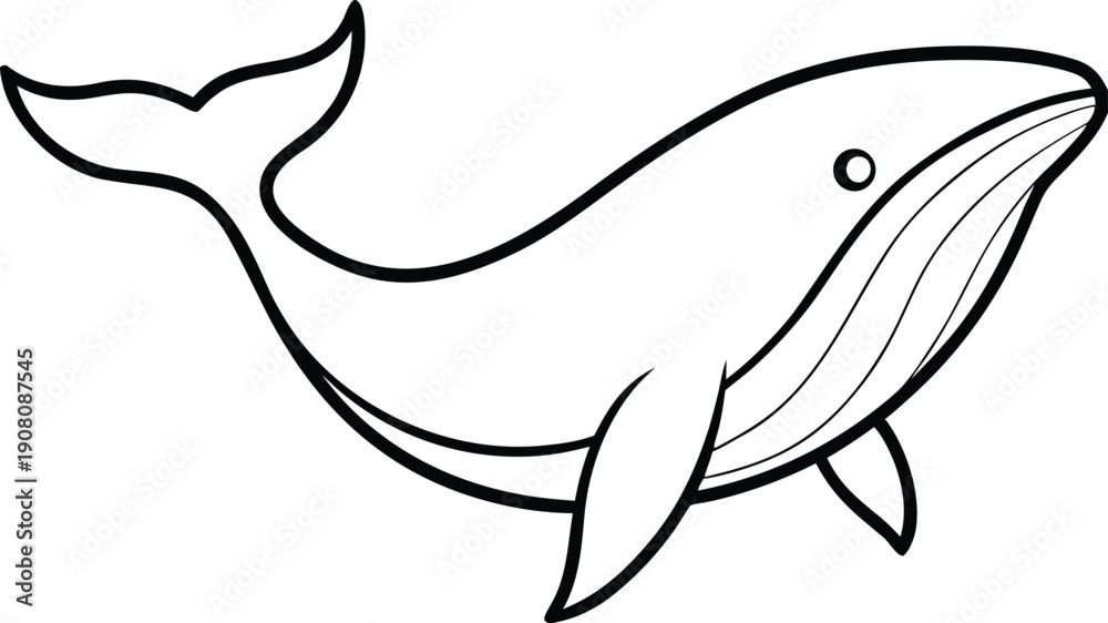 Fototapeta premium Whale line art vector thin black outline animal ocean 2
