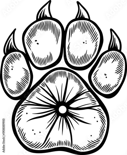 Black and white animal paw print with claws detailed illustration for wildlife and nature design