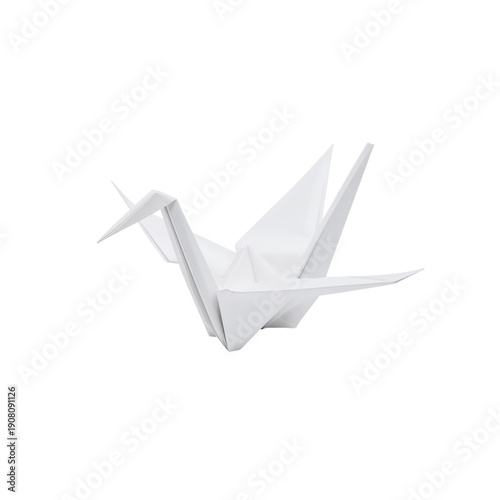Green Leaf Branch With Long Pointed Leaves on a White Background in Natural L...