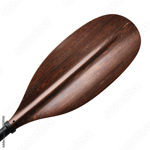 Green Leaf Branch With Long Pointed Leaves on a White Background in Natural L...