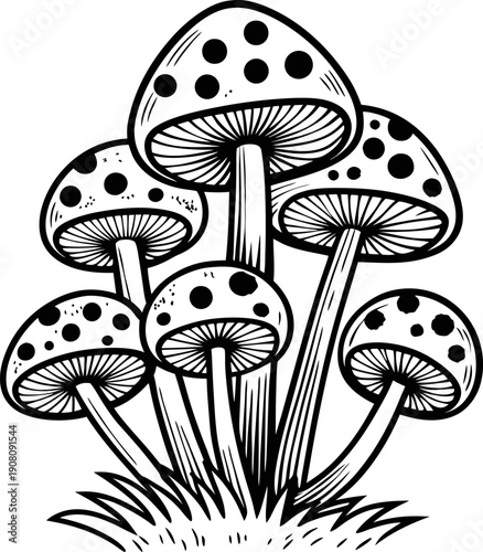 Cluster of spotted mushrooms growing on grass, detailed black and white botanical drawing of fungi