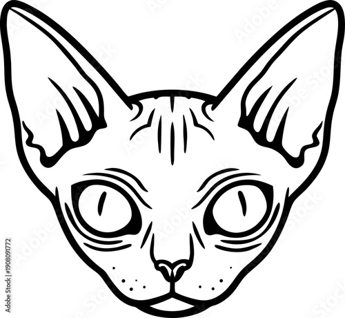 Sphynx cat face illustration, hairless feline with large ears and expressive eyes outline drawing