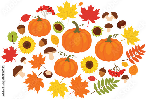 Autumn harvest background vector with pumpkins sunflowers mushrooms fall leaves and seasonal botanical elements isolated