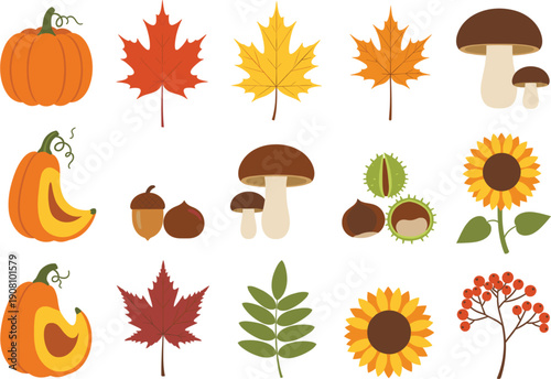 Autumn season botanical vector set with pumpkins mushrooms fall leaves sunflowers and harvest elements isolated
