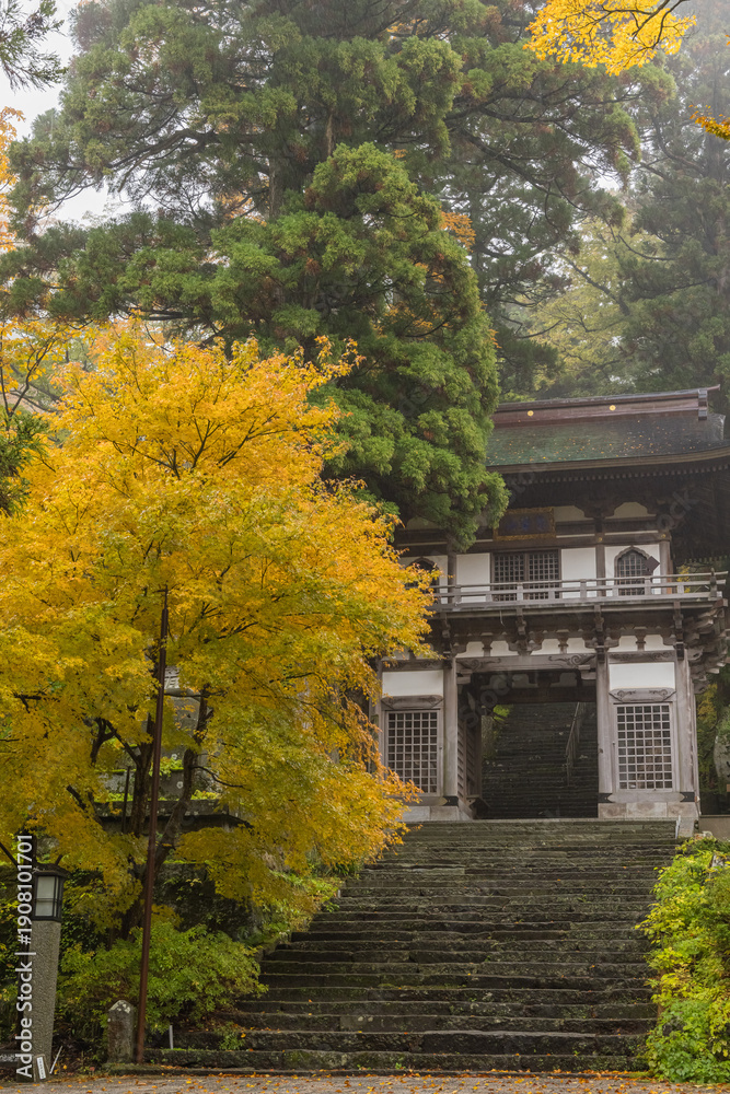 Fototapeta premium 日本 鳥取県西伯郡大山町にある大山寺の紅葉に囲まれた仁王門
