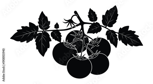 A black silhouette illustration of a tomato plant with ripe fruits