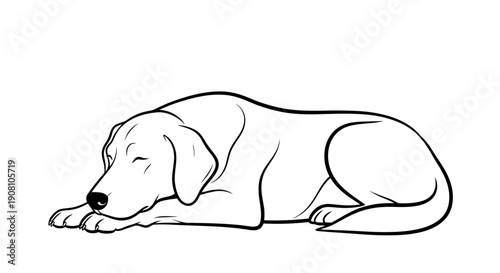 Sleeping dog illustration simple outline isolated on white background
