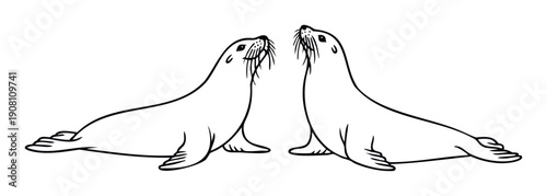 Graceful black and white line drawing depicting two elegant sea lions looking upward, ideal for wildlife education, marine conservation, or oceanthemed branding materials.