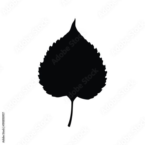 aspen leaf silhouette vector illustration, A detailed black and white silhouette of a leaf showcasing intricate design elements, perfect for nature-themed vector illustration