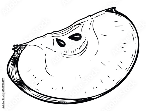 Stylized hand drawn fresh apple slice with visible seeds perfect for healthy eating blogs, organic food recipes, nutritional articles, or farmers market branding