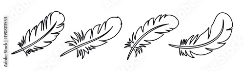 Simple hand drawn feather outlines provide a light and delicate feeling for various creative projects, adding a whimsical touch to invitations, decorations, or textile prints.