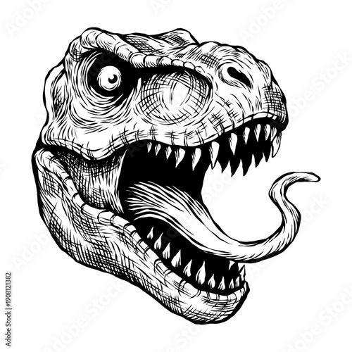 abstract illustration of hand drawn t rex head vector