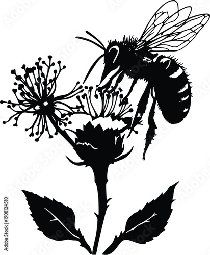 Bee Pollinating Flower Silhouette Ecology Nature Concept Black Vector