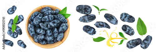 Obraz na płótnie Fresh honeysuckle blue berry in wooden bowl isolated on white background with full depth of field