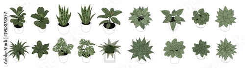 Vector Set of Potted Indoor Houseplants in Top View and Isometric Styles
