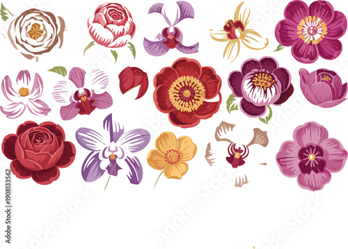 Hand drawn floral illustration vector set with colorful blooming flowers, artistic botanical elements collection isolated on white background