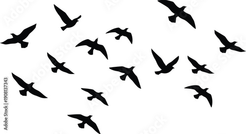 Flying birds silhouettes set, flock of birds in different positions, black bird shapes isolated on white background