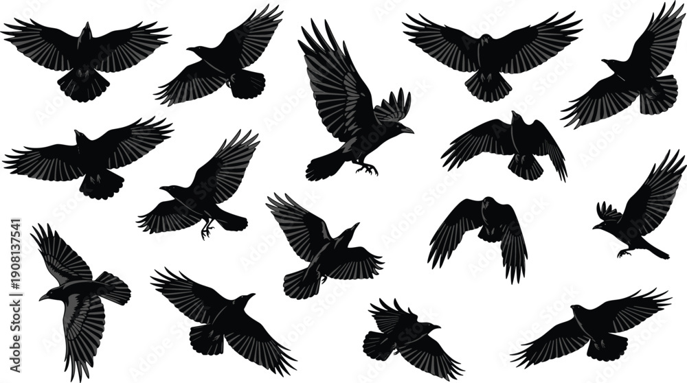 Fototapeta premium Flying crow silhouettes set, black birds in various wing positions, ravens and crows in flight illustration isolated on white background