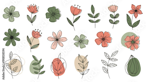 collection of flowers