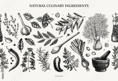 Culinary herbs and spices seamless pattern. Kitchen ingredients hand drawn vector illustration. Natural food background in sketched style. NOT AI generated