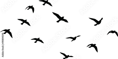 Black and white flying bird silhouettes forming dynamic flock in open sky, minimalist wildlife nature vector illustration for freedom, migration, and outdoor design concepts