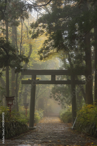 日本　鳥取県西伯郡大山町にある大神山神社、奥宮ニの鳥居と紅葉