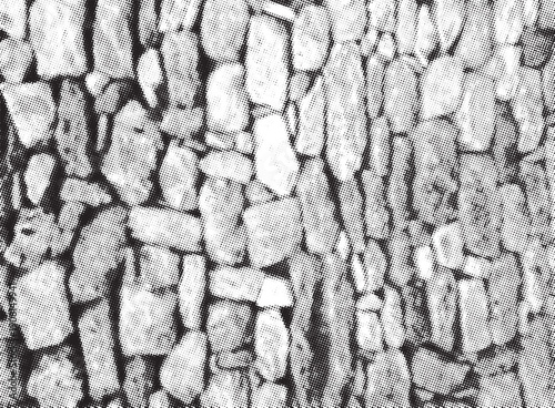 Close up view of rough textured stone wall construction showing natural rock pattern. Vector halftone background. Dotted black and white overlay bg in punk style for collages.