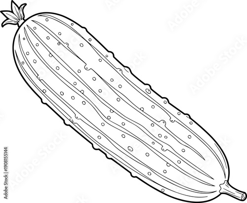 Fresh cucumber vegetable outline for healthy organic food ingredient and garden produce design – Black and White Vector Illustration