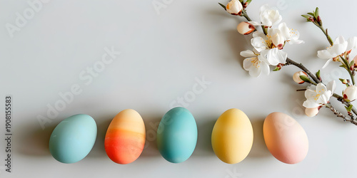 Colorful Easter eggs arranged in a row with delicate white cherry blossom branches on a light gray background, symbolizing spring and seasonal celebrations