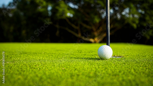 Golf Ball Near the Hole on a Lush Green Golf Course Turf