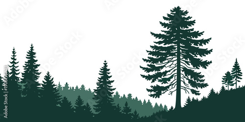 A majestic pine tree stands tall against a backdrop of a forested hillside