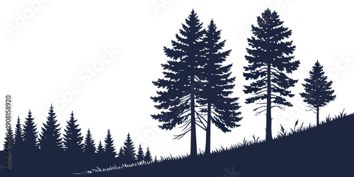 Silhouette of tall pine trees on a hillside under a starry night sky
