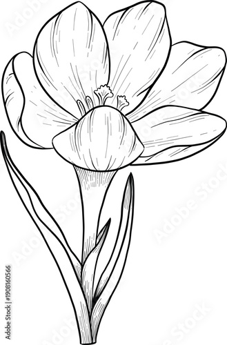 Easter flower festive traditional decor element set. Ink style vector illustration. Engraved outline eggs, knots, spring garden flowers and basket. Monochrome graphics in a hand-drawn line style