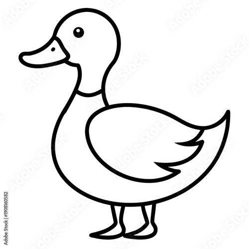 duck ,illustration outline isolated on white background