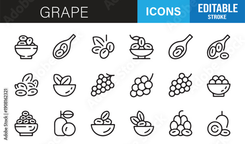 Vineyard grape and wine outline icons vector pack