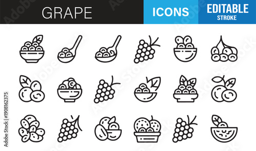 Fresh grape bunch and fruit minimal line icon collection editable vector